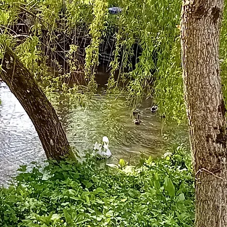 Maison Au Cœur De La Nature Hébergement de vacances Cerisy-la-Foret