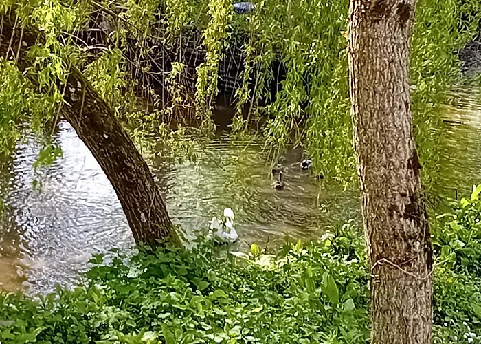 Maison Au Coeur De La Nature Nyaraló Cerisy-la-Forêt